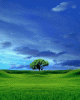 anim176220mobildesign.atw.hu_0010.gif